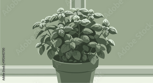 A vibrant basil plant thrives in a terracotta pot, showcasing fresh green leaves and aromatic herbs perfect for culinary use and home gardening.