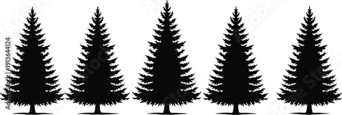 Set of detailed pine tree silhouettes black vector illustration isolated on white background evergreen forest design elements collection