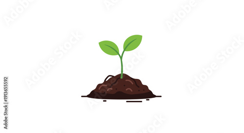 A young green plant with two small leaves grows from a dark brown soil mound against a clean white backdrop.