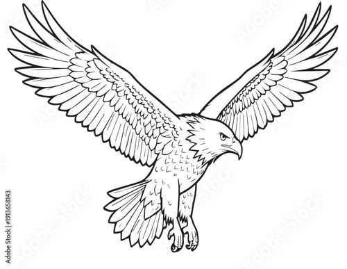 A black tribal eagle silhouette vector illustration featuring spread wings and a sharp beak designed for a nature symbol or wildlife tattoo art