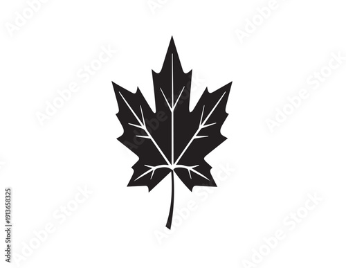 A beautiful red maple leaf with colorful autumnal foliage is isolated on a black background to showcase the seasonal nature of fall