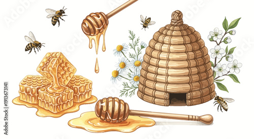 Honey and bees illustration honeycomb dippers hive flowers and bees