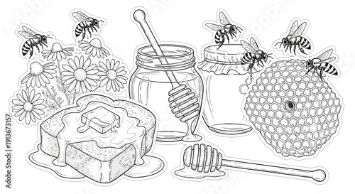 Honey and bees illustration jar toast comb and daisy flowers