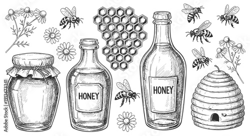 Honey and bees vector illustration with honeycomb and hive elements