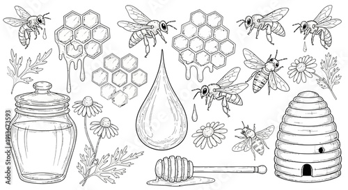 Honey bees and honeycomb vector illustration for design elements
