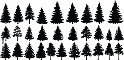 Silhouette collection of diverse coniferous trees, pine, fir, spruce variations, evergreen forest illustration set, botanical vector design, forestry nature elements