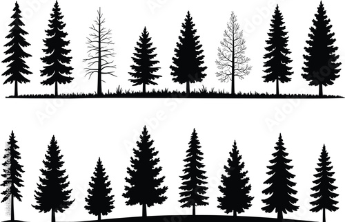 Pine and fir tree silhouette collection, evergreen forest landscape elements set with ground grass, isolated black shapes, flat vector illustration