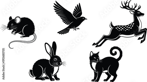 Animal silhouette collection, black white mouse bird deer rabbit cat icons, nature wildlife vector set, domestic forest animals, minimalist animal shapes