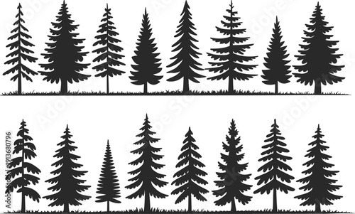 Evergreen pine and spruce tree silhouettes collection with forest ground border, detailed conifer shapes set, flat vector illustration