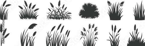 Wild grass and reed silhouette collection, meadow plants and marsh vegetation elements set, isolated black botanical shapes, flat vector illustration