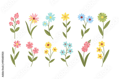 Different types of flowers arranged in rows with green stems