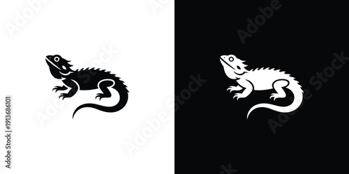 Black and white lizard on contrasting backgrounds reptile