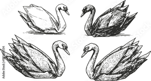 hand drawn swans set, black and white detailed bird illustrations, elegant aquatic waterfowl collection
