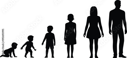 Human life stages silhouette from crawling baby to adult woman and man, age progression concept set, flat vector illustration