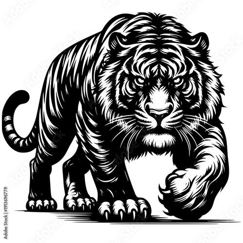 Majestic Tiger Illustration: A striking monochrome illustration of a powerful tiger, showcasing its intense gaze and bold stripes. The image conveys strength and confidence.