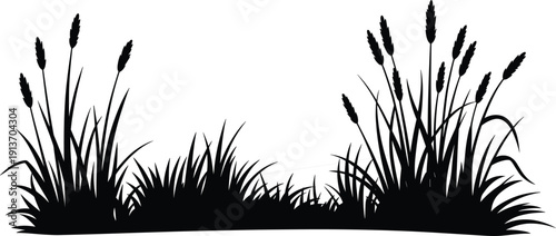 Reed grass silhouette border, wetland plants background, nature landscape design, botanical meadow scene, black vector illustration