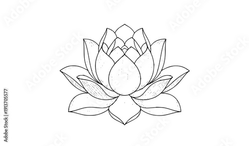Elegant Asian Lotus Flower Line Art Vector Illustration for Spiritual and Traditional Packaging