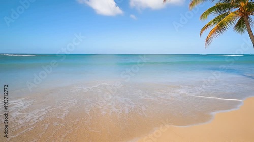 4K video of serene beach scene with palm tree and calm waves