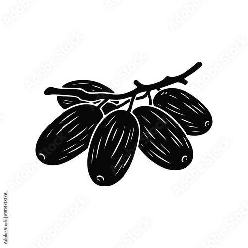 Date Cluster: A simple yet elegant monochrome illustration of a cluster of dates, each fruit plump and full, attached to a delicate stem.