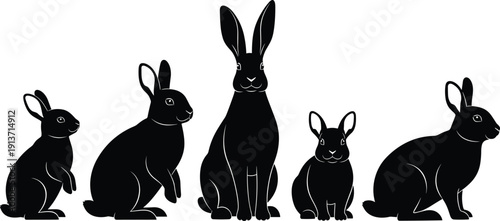 Set Of White Outline Rabbit Silhouettes In Various Poses For Easter Holiday Garden Nature Wildlife Or Cute Animal Bunny Pattern Concept Vector Illustration Isolated On White