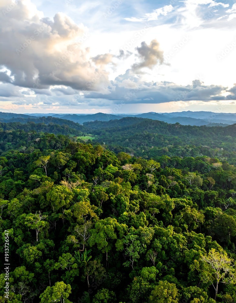 Fototapeta premium Aerial view of lush green forest landscape with cloudy sky