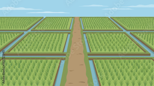 rice field area with neat irrigation system, symmetrical green plots