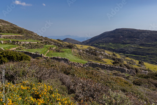 Lush pasture in the mountainous central part of Paros island in Greece on a sunny day.