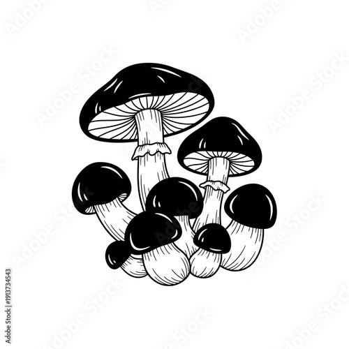 Black Mushrooms Illustration Forest Fungi Stock Photo