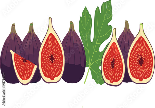 Fresh Ripe Fig Fruit Collection with Whole and Halved Figs and Green Leaves Vector Illustration