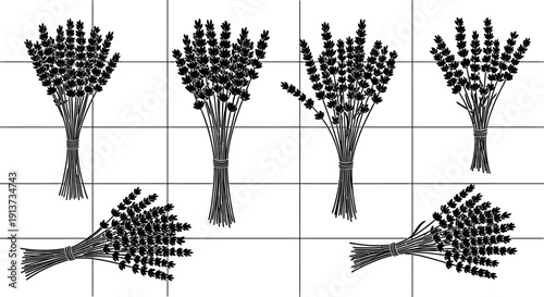 Lavender bunches in grid pattern on white background for design and decoration
