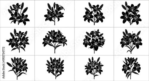 Set of nine unique black botanical illustrations of various plants with leaves on white background