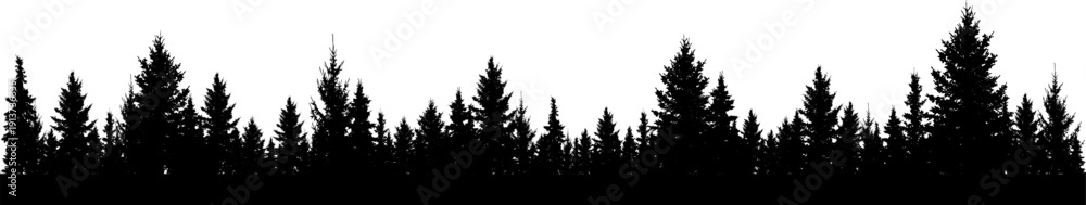 Obraz premium Forest of Christmas fir trees silhouette. Coniferous spruce panorama. Park of evergreen wood. Vector on white background (Every tree isolated, separate from each other, free-standing)