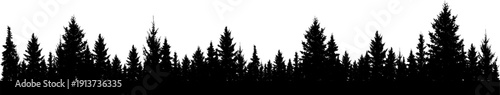 Forest of Christmas fir trees silhouette. Coniferous spruce panorama. Park of evergreen wood. Vector on white background (Every tree isolated, separate from each other, free-standing)