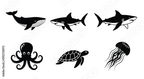 Black vector sea creatures including whale, shark, octopus, turtle and jellyfish isolated on white background