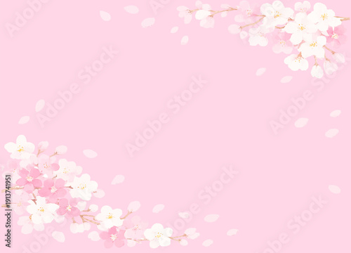桜のびらのイラストフレーム素材　桃色の背景　ベクターデータ