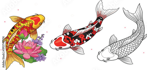 Japanese Koi Fish Vector Illustration Set with Traditional Orange Carp Irezumi Design Featuring Lotus Flowers Water Waves and Black Line Art Stencils