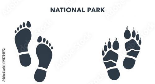 Human and animal footprints side by side comparison.