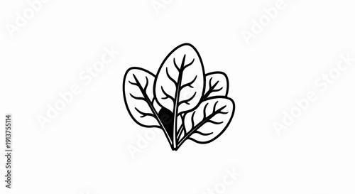 Black and white illustration of a cluster of spinach leaves with veins