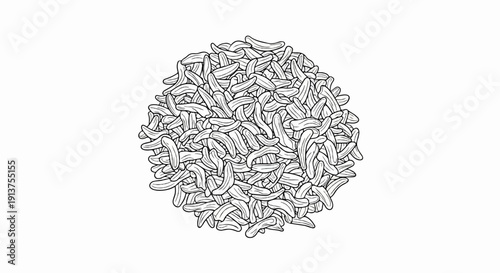 Black and white illustration of a pile of cumin seeds