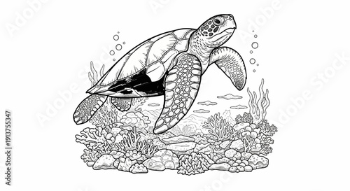 Black and white illustration of a sea turtle swimming above a coral reef