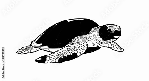 Black and white illustration of a sea turtle swimming