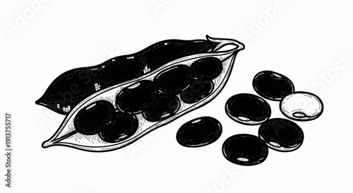 Black beans in a pod, artistically rendered