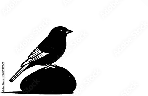 Black bird perched on a rounded stone, looking to the right