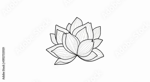 Black and white outline drawing of a blooming lotus flower with delicate petal lines