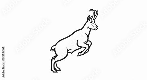 Black and white outline drawing of a chamois leaping upwards on a white background