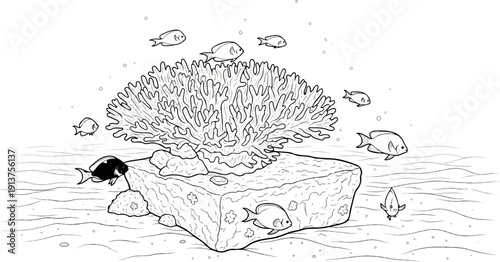 Black and white sketch of coral reef with various fish swimming around