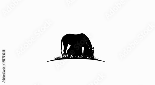Black silhouette of a grazing horse in a field