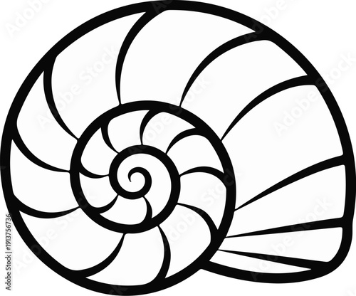 Black and white stylized spiral nautilus shell cross-section, elegant