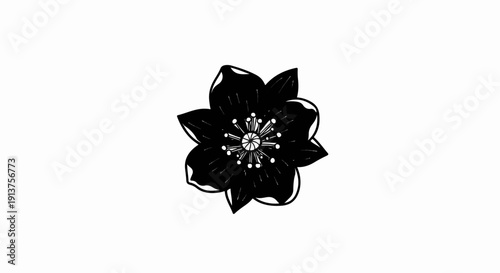 Black flower with intricate white center on a white background