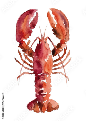 Watercolor-style lobster illustration／ロブスター